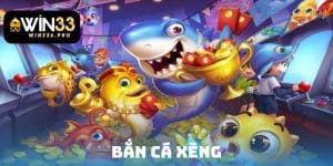 ban-ca-xeng