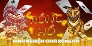 Tham khảo cách chơi rồng hổ từ cao thủ lành nghề
